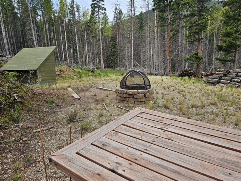 10 Acres Forbes Park : Fort Garland : Costilla County : Colorado