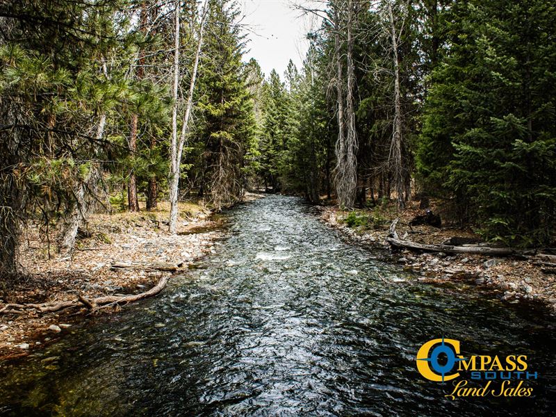 Sacajawea Peak Hunting Ranch : Plains : Sanders County : Montana
