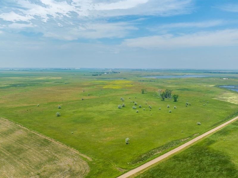 Sargent County 160 Acres : Cogswell : Sargent County : North Dakota