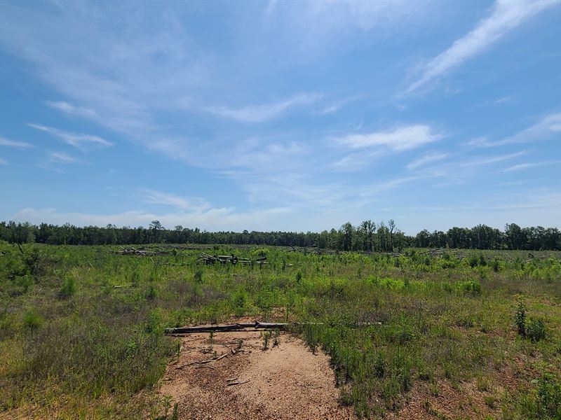 Timberland Tract with Ag Soils : Goodway : Monroe County : Alabama