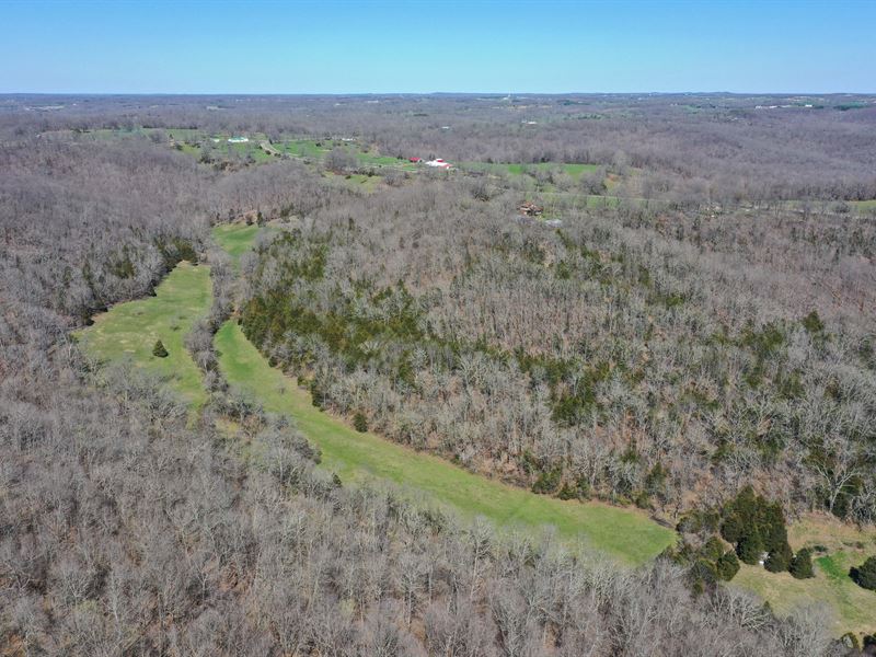 Land for Sale, Wright County, MO : Norwood : Wright County : Missouri