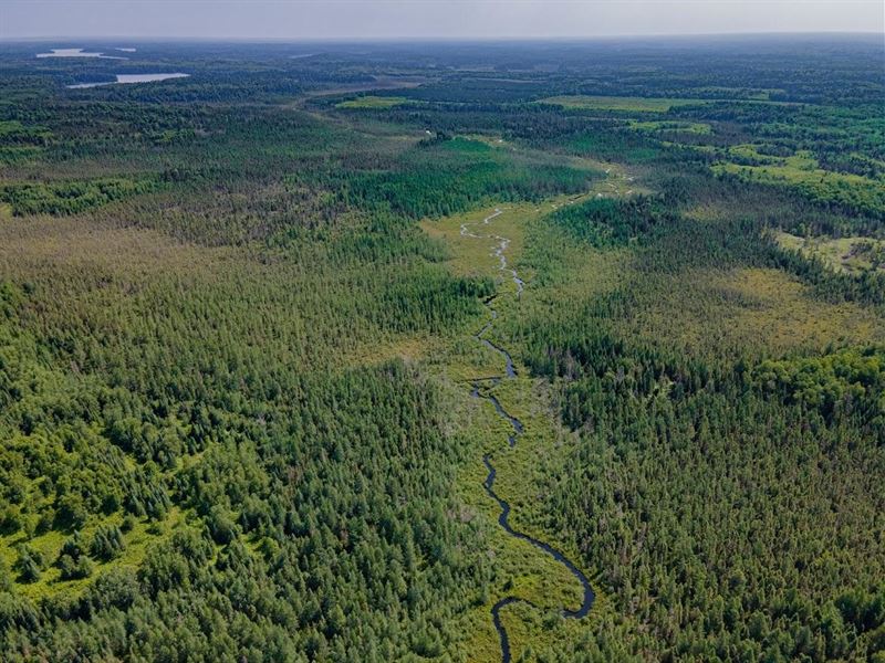 Pine Lake Rd Acreage : Minocqua : Oneida County : Wisconsin