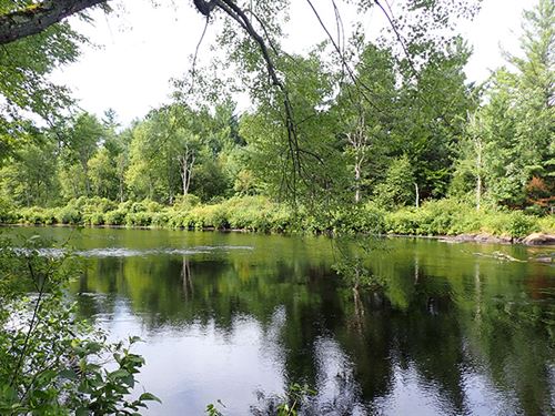 Overlook Rapids Parcel : Fowler : Saint Lawrence County : New York