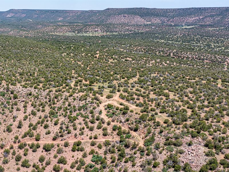 1,316 Acres in Las Vegas, New Mexico : Las Vegas : San Miguel County : New Mexico