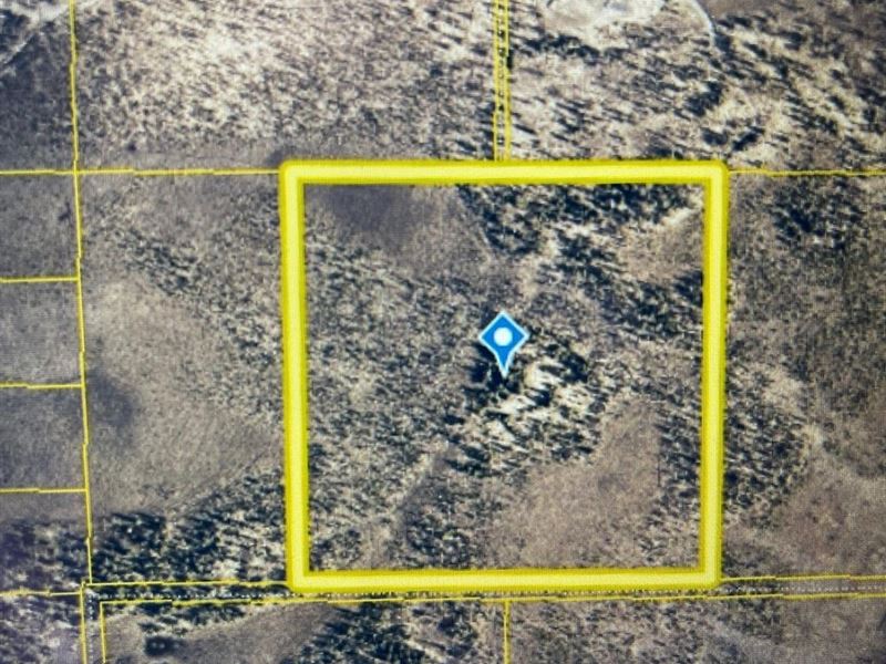 L17 Koch 40 Acres Vacant Land : Anchor Point : Kenai Peninsula Borough : Alaska