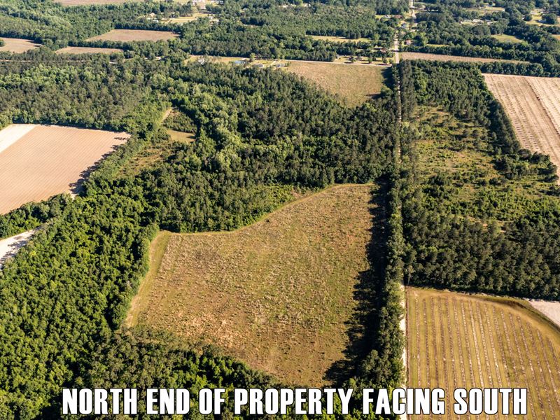 23.5 Acres in GA with Owner Finance : Bainbridge : Decatur County : Georgia
