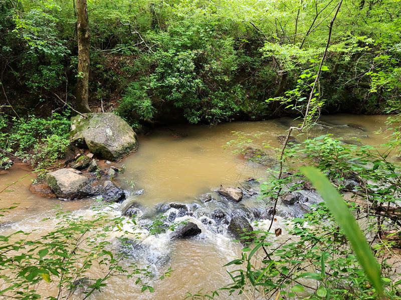 Lazer Creek Hunting & Cabin : Woodland : Talbot County : Georgia