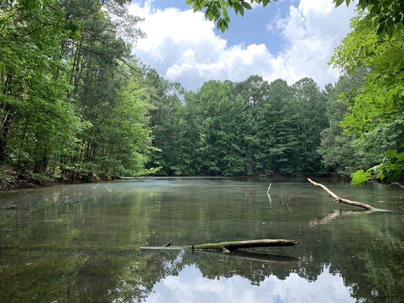 Must-See Pasture Tract, Pond : Griffin : Spalding County : Georgia