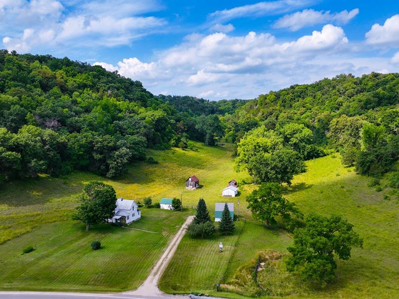 71 Ac, Build Site, Fillmore County : Rushford : Fillmore County : Minnesota