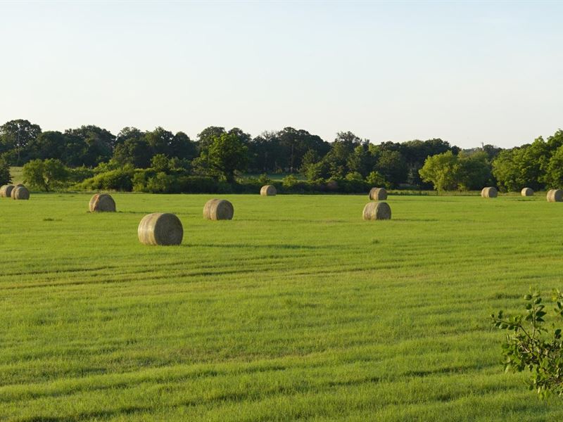 Jane Tracy Ranch : Rising Star : Eastland County : Texas