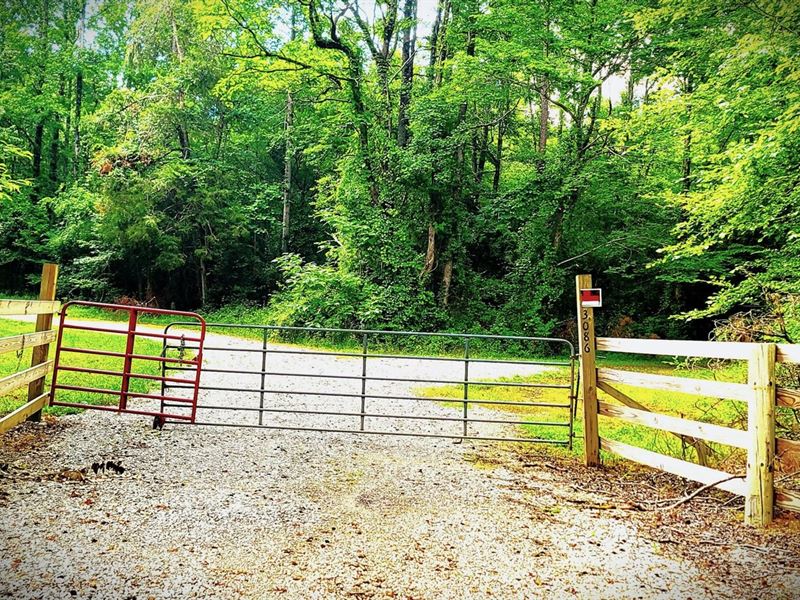 Reduced 145Ac Cornfields, Pastur : Bethel Springs : McNairy County : Tennessee