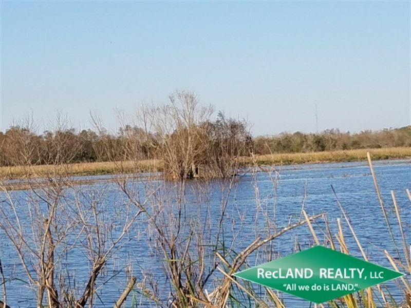 20.05 Ac, Duck Hunting & Crawf : New Iberia : Iberia Parish : Louisiana