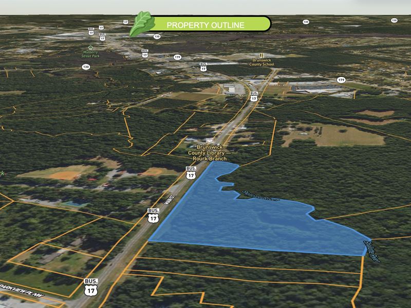 Large Lot with Pond : Shallotte : Brunswick County : North Carolina