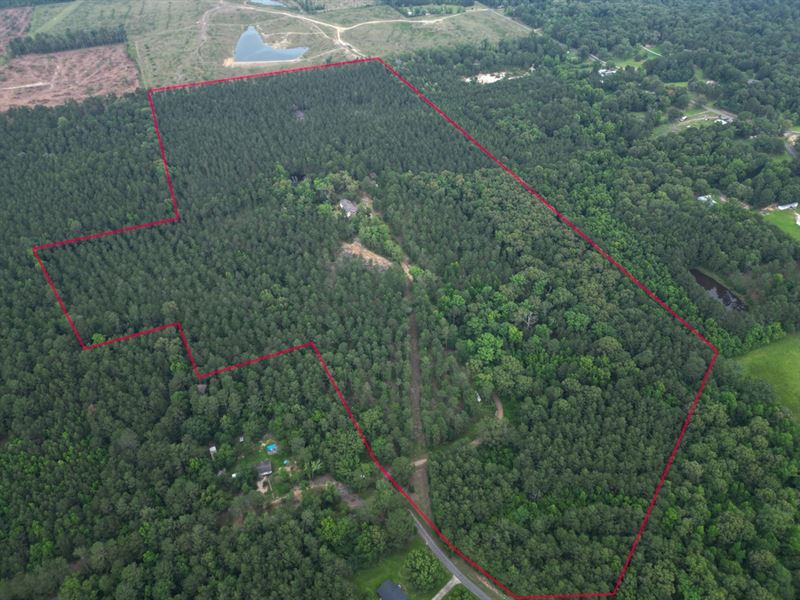 La, Caldwell 88 Acres : Grayson : Caldwell Parish : Louisiana