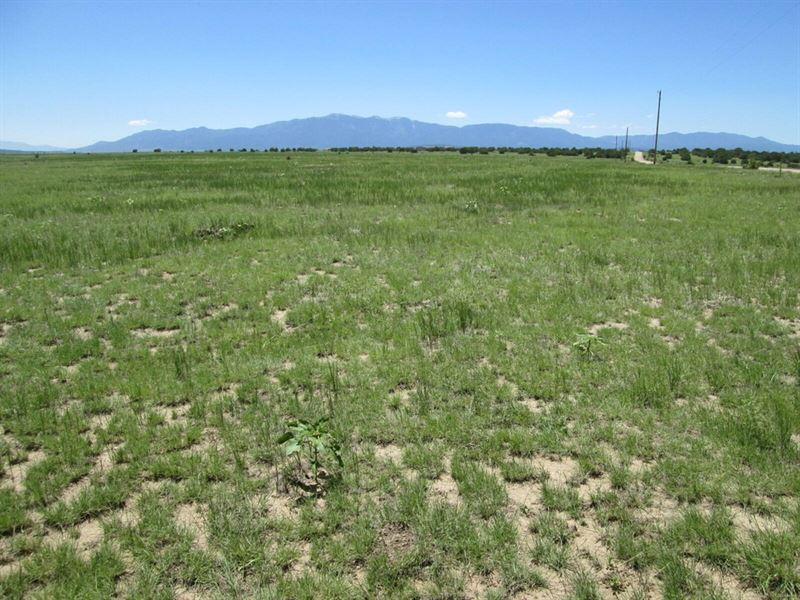 95 & 96 Sikes Ranch, Rye, Co 81 : Rye : Pueblo County : Colorado