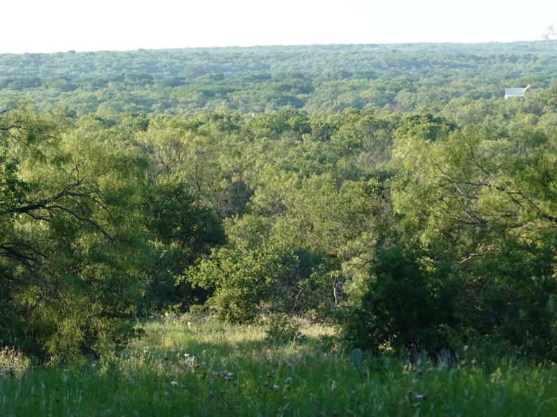 The Bob Gilman Ranch : Putnam : Callahan County : Texas
