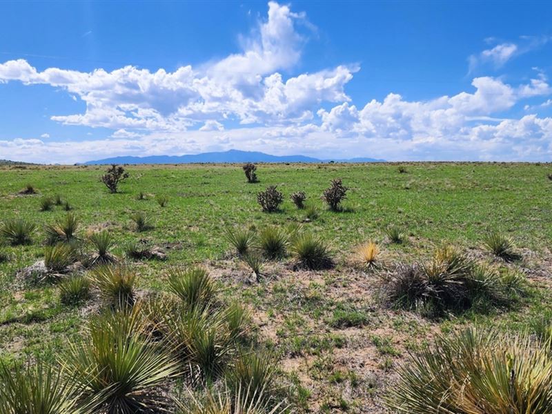 Parker Rd 5A, Walsenburg, Co 810 : Walsenburg : Huerfano County : Colorado