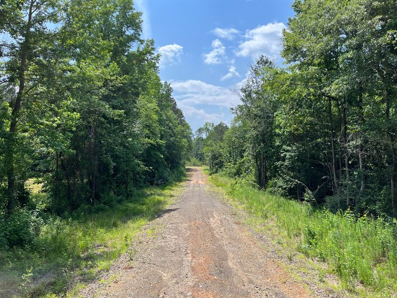 Northside Development or Estate : Northport : Tuscaloosa County : Alabama