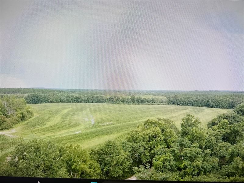 59 Ac. Geneva Co : Samson : Geneva County : Alabama