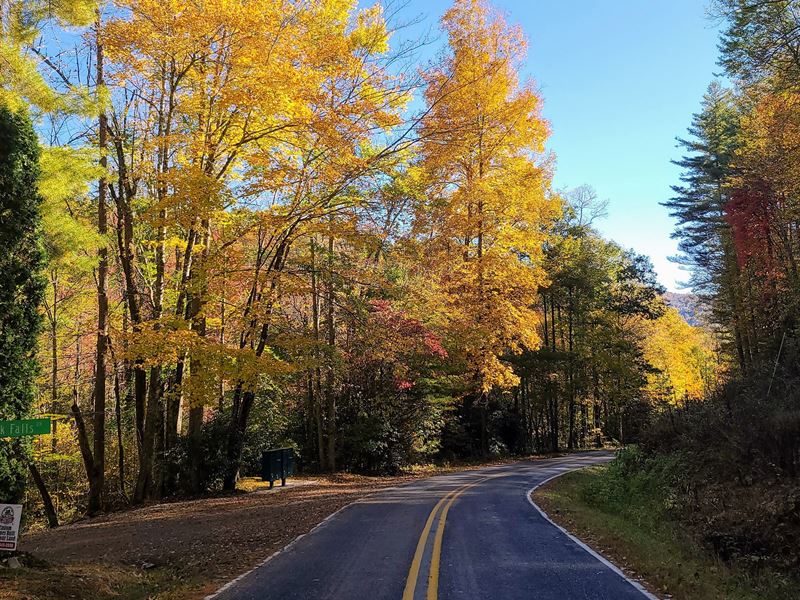 Happy Nest Road Tract : Sylva : Jackson County : North Carolina