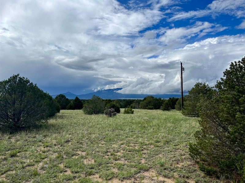 County Road 521.3 Tr 20, Walsen : Walsenburg : Huerfano County : Colorado