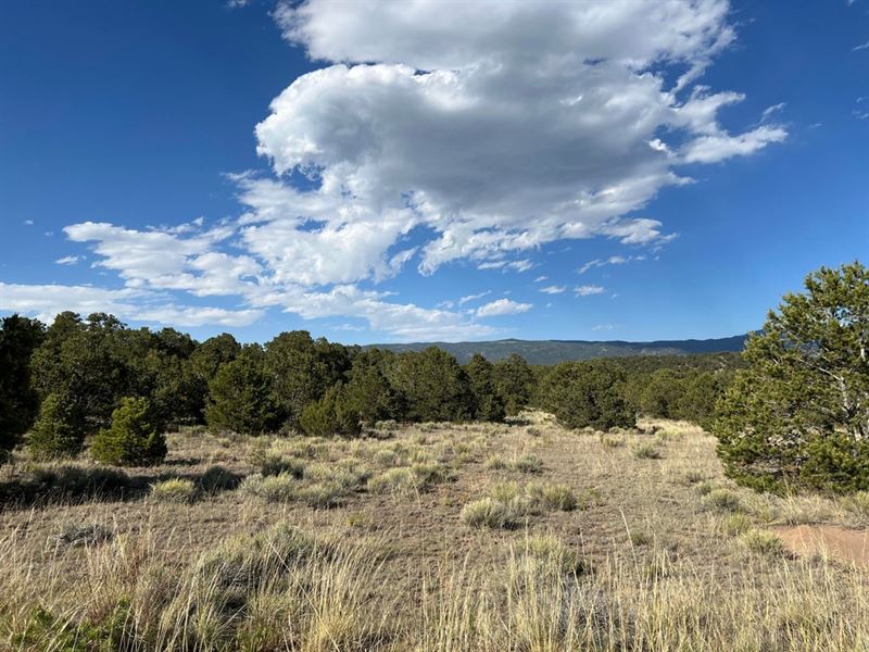 Lot 16 Milligan Ranch, Gardner, Co : Gardner : Huerfano County : Colorado