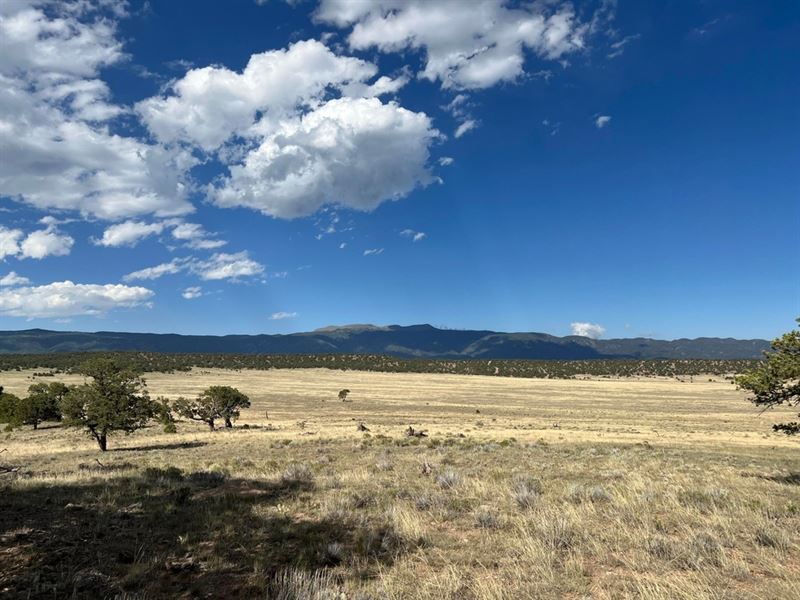 County Road 634, Gardner, Co 81 : Gardner : Huerfano County : Colorado