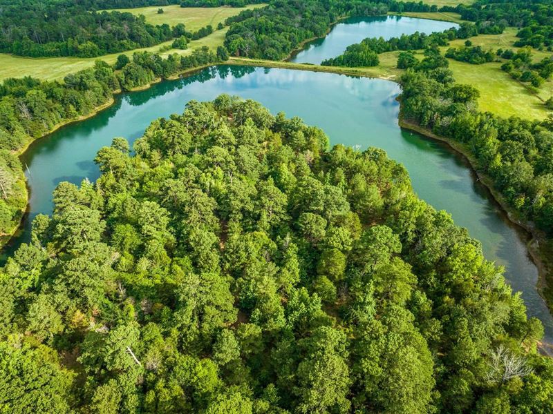 Los Lagos Ranch : Quitman : Wood County : Texas