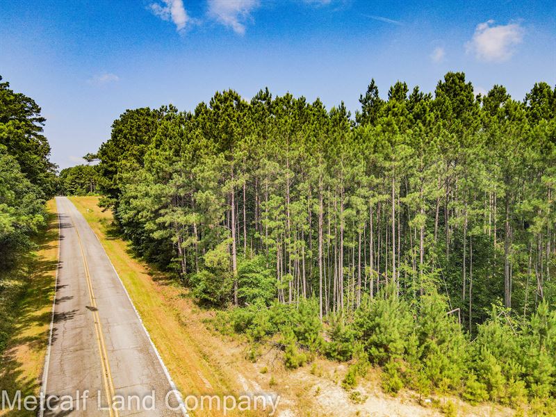 85 Acres in Southern Union County : Carlisle : Union County : South Carolina
