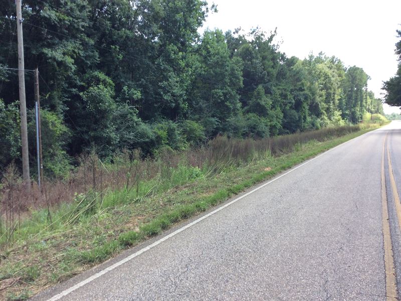 Sanders Ivy Creek Tract : Rutledge : Crenshaw County : Alabama