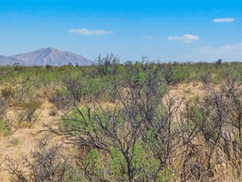 Take Aim at Gunsight Ranch : Fort Hancock : Hudspeth County : Texas
