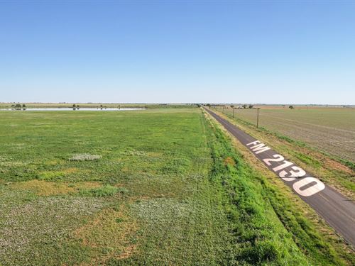 West Texas Land for Sale At Auction : Anton : Hockley County : Texas