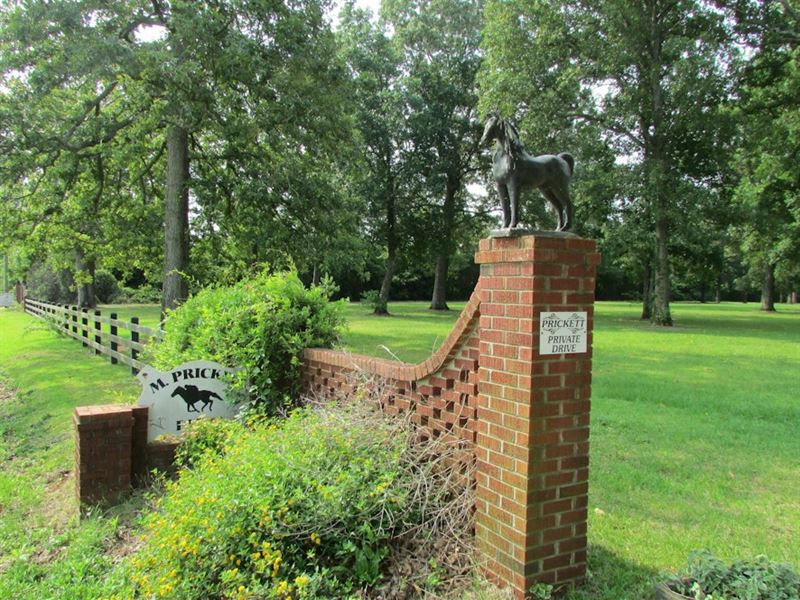 Prickett Lone Star Road Tract : Saint Matthews : Calhoun County : South Carolina