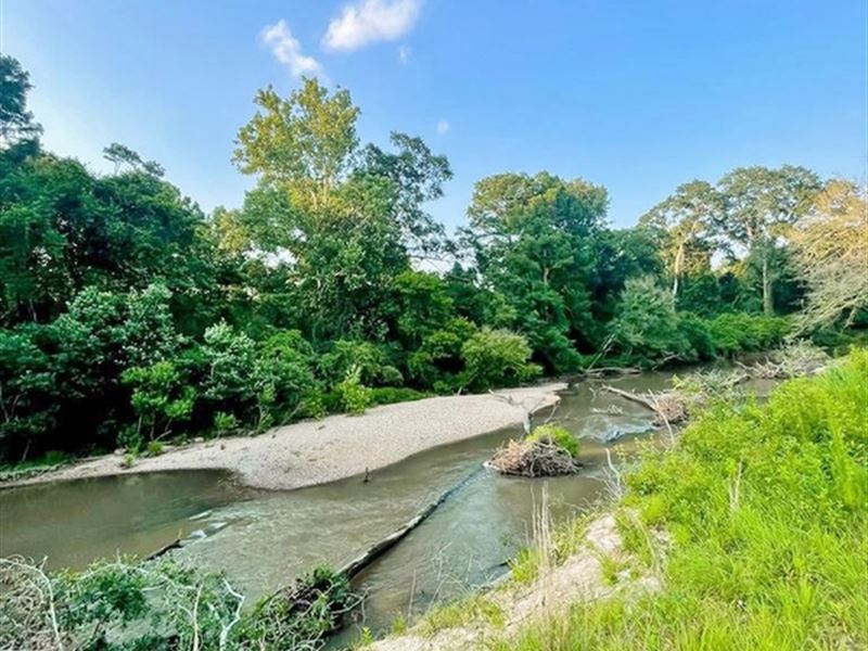 60 Acres On Bogue Chitto River : Summit : Pike County : Mississippi