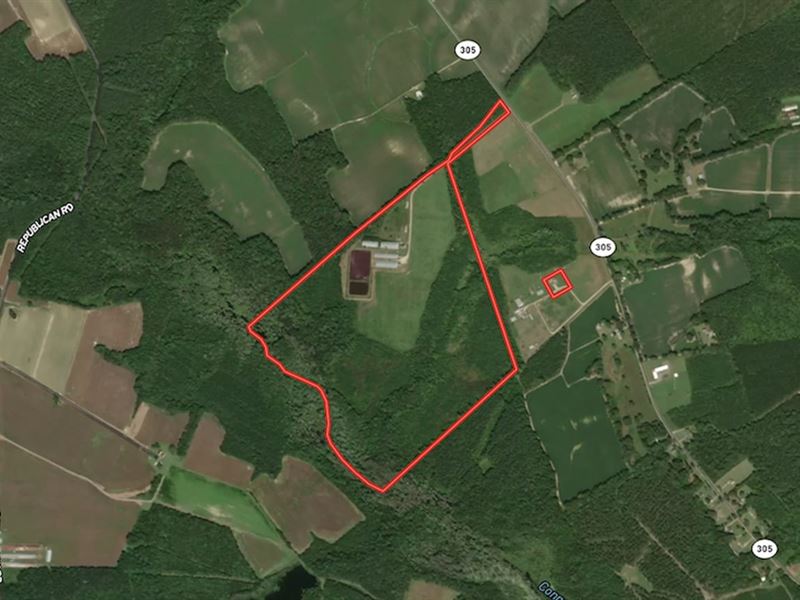 120 Acre Hog Farm / Hunting and Res : Aulander : Bertie County : North Carolina