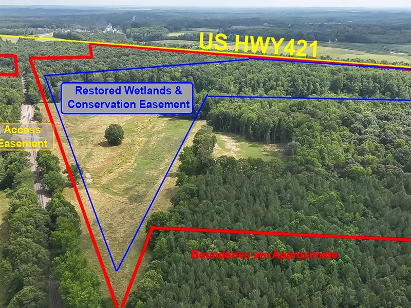 Large Acreage Ideal for Hunting : Liberty : Randolph County : North Carolina