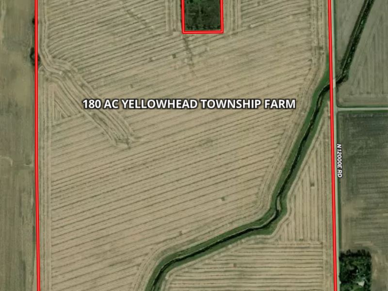 180 Acre Yellowhead Farm : Grant Park : Kankakee County : Illinois