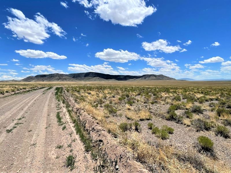 20 Acres Mountain View Lot : Sanford : Conejos County : Colorado