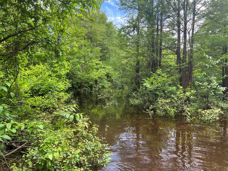 La, Union 343 Acres : Sterlington : Union Parish : Louisiana
