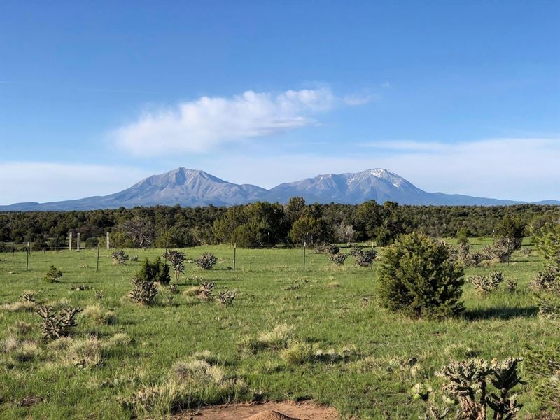 1 Coyote Lake, Walsenburg, Co 81089 : Walsenburg : Huerfano County : Colorado