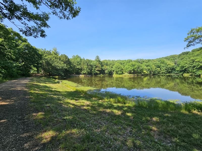 Premier Hunting/Fishing Acreage : Calhoun : Henry County : Missouri