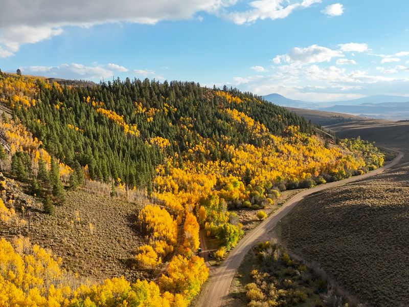 Tomichi Dome Hunting Ranch : Gunnison : Gunnison County : Colorado