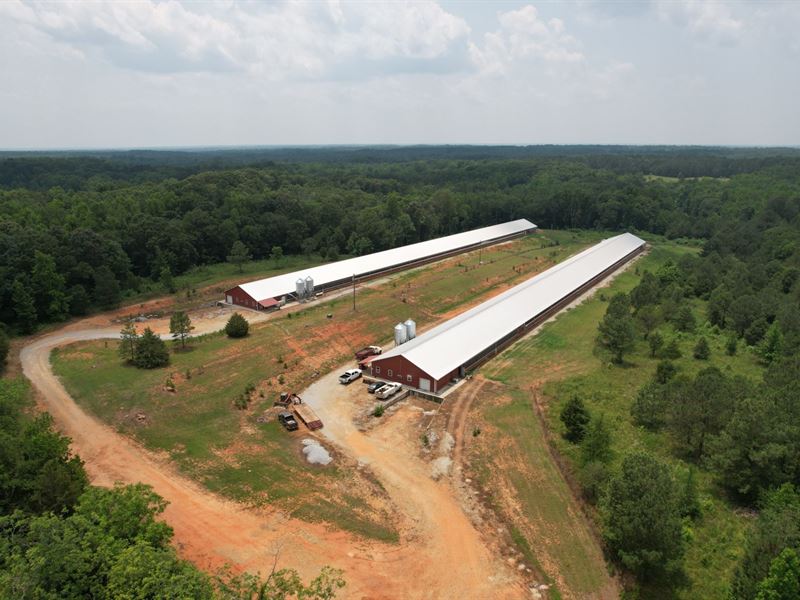 Sienna Rose Breeder Farm : Dewy Rose : Elbert County : Georgia