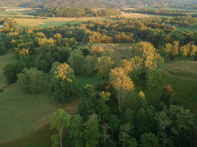 Reifs Cave, Ross County Farm : Bainbridge : Ross County : Ohio