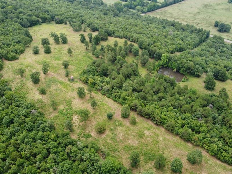 Logan County Hilltop : Magazine : Logan County : Arkansas