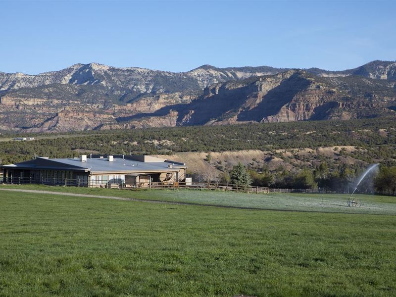 Colorado Cattle Ranch, Horse Proper : Collbran : Mesa County : Colorado