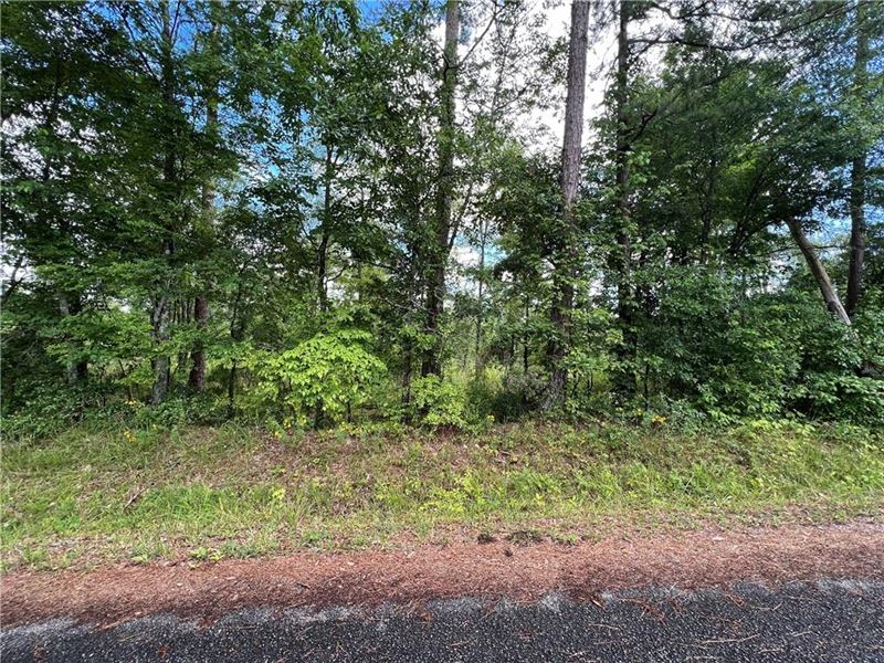 Breathtaking and Private : Cedartown : Polk County : Georgia
