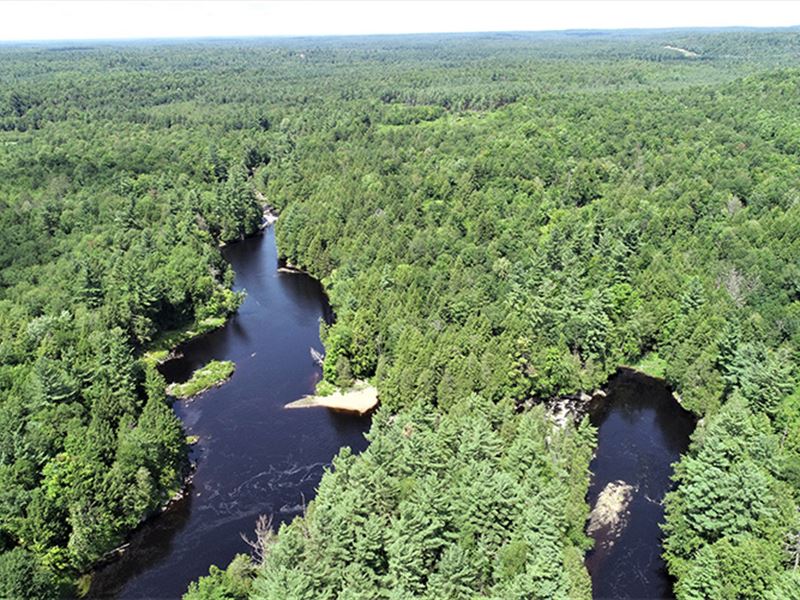 Lower Oswegatchie River Parcel 2 : Pitcairn : Saint Lawrence County : New York