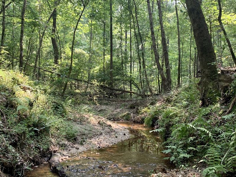 Charlie Bolton Road Tract 1 : Winterville : Clarke County : Georgia