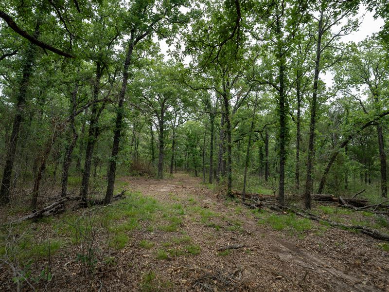 10 Acres in Milam County : Buckholts : Milam County : Texas